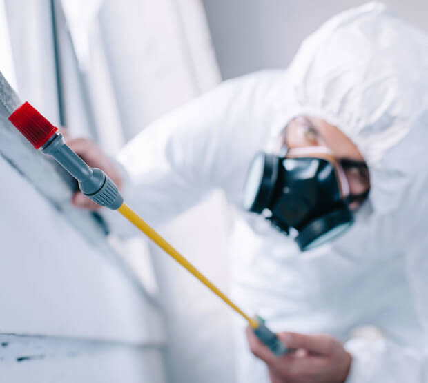 Дезинфектор