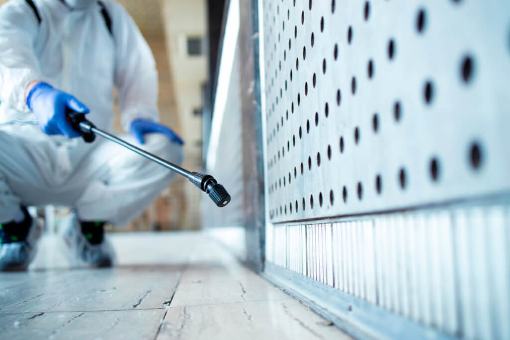 Дезинсекция